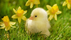 Spring has sprung!