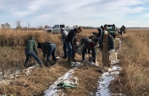 Sandbag Cleanup